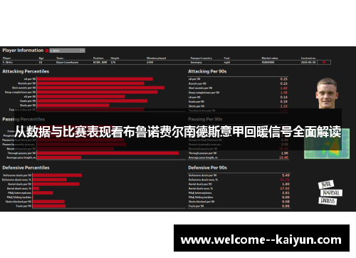 从数据与比赛表现看布鲁诺费尔南德斯意甲回暖信号全面解读 从数据与比赛表现看布鲁诺费尔南德斯意甲回暖信号全面解读